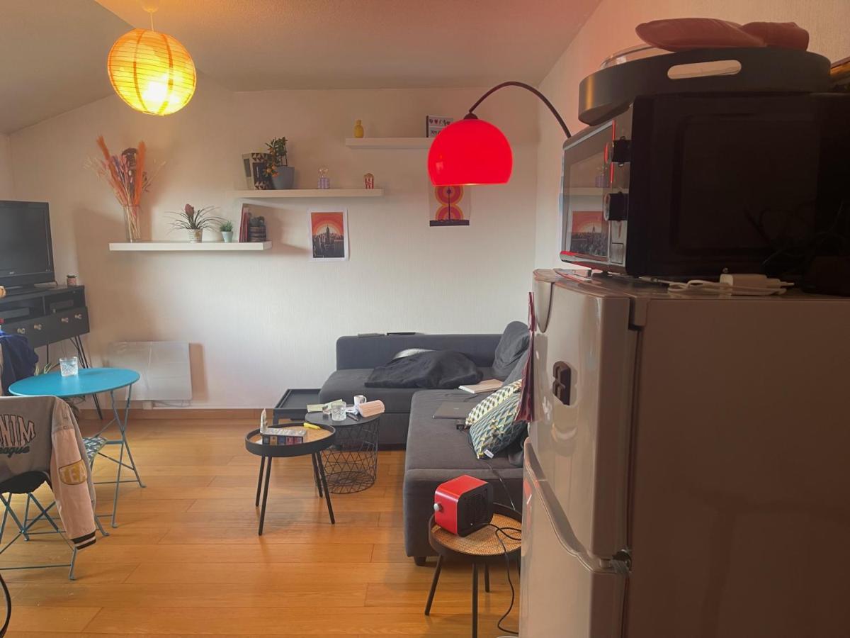 Appartement Au Centre Ville De Toulouse Luaran gambar